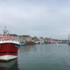 Cotentin - 30 avril - 1er mai